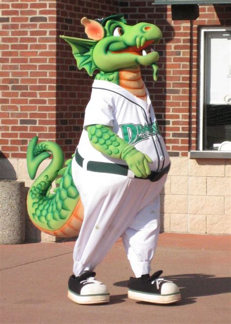 Dragon mascot attire